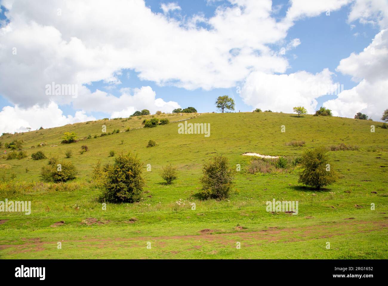 St Catherine's Hill National nature reserve near Winchester Hampshire a chalk hill Stock Photo