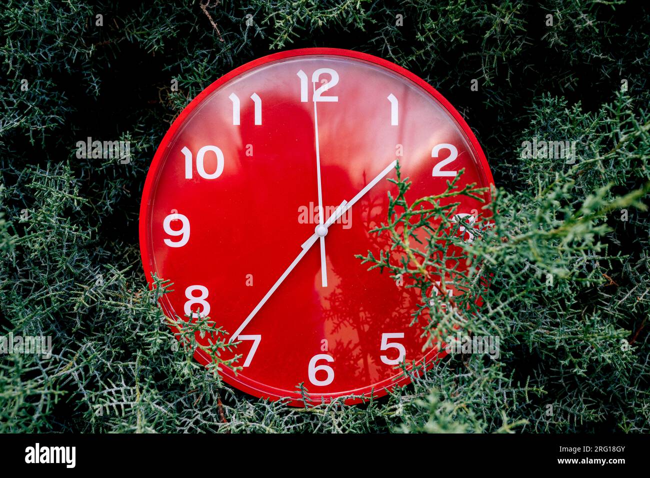 Closeup of big round red clock with white dials placed on green meadow during daytime Stock Photo