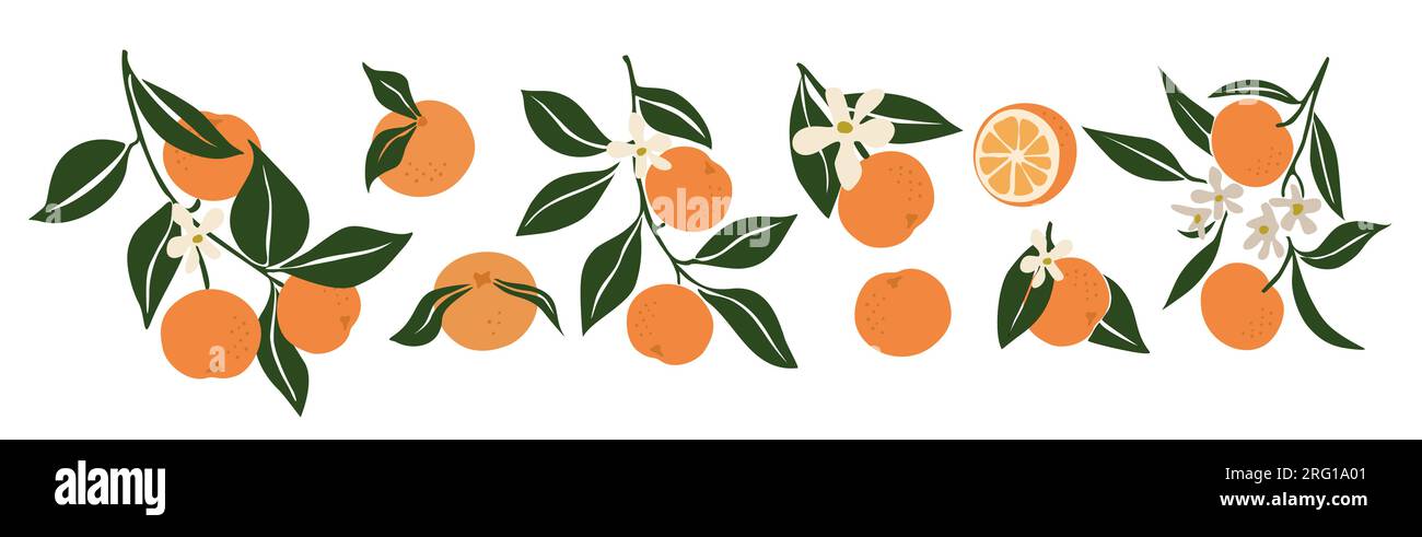 Hand drawn abstract oranges vector set isolated.  Stock Vector