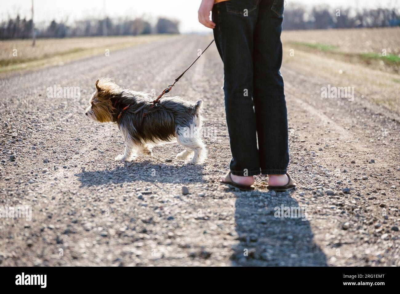 Dog and boy standing on a gravel road out in nature Stock Photo Alamy