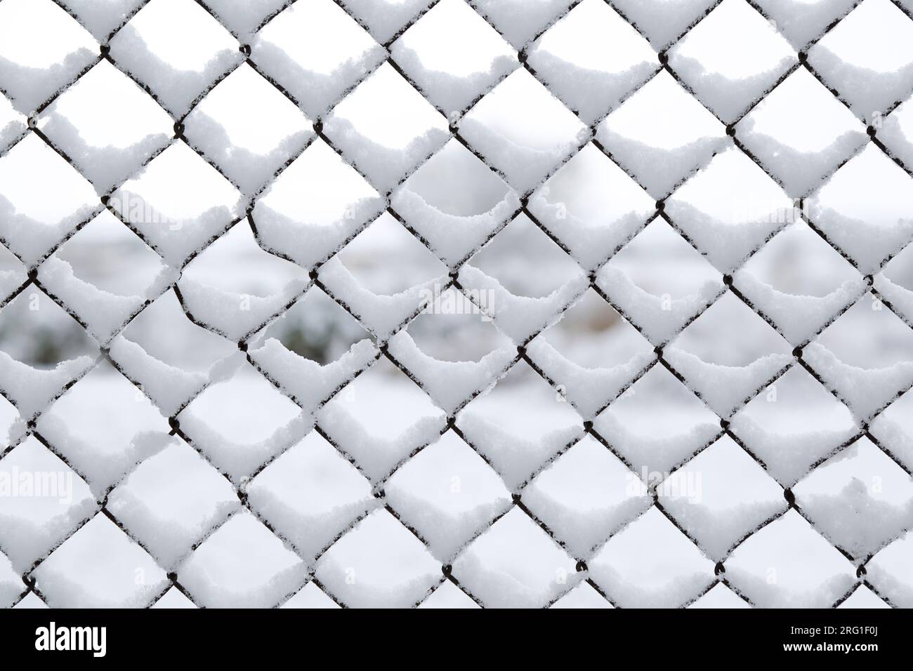 Frozen metal fence covered with snow Stock Photo - Alamy