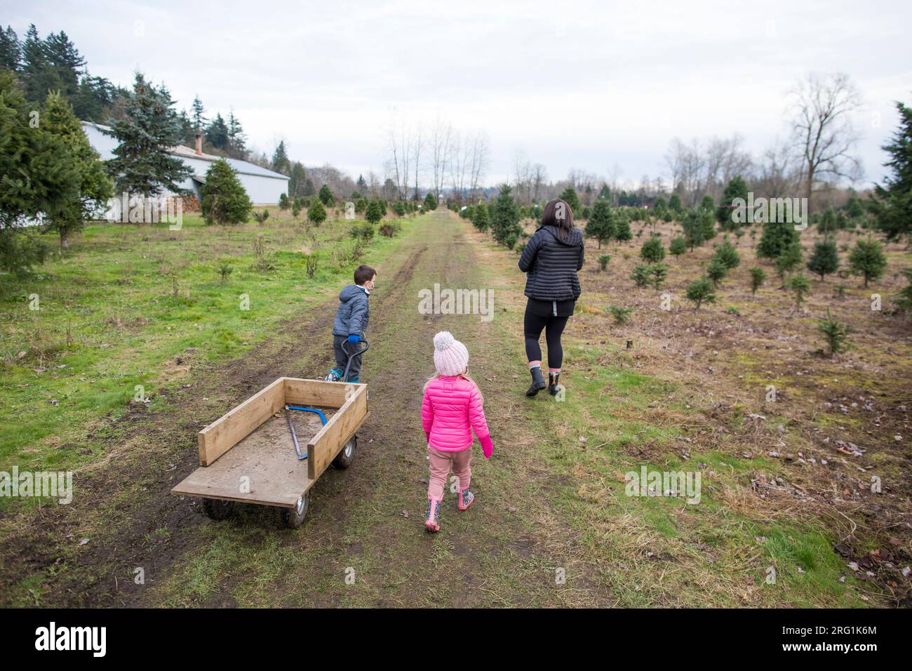 Boy pulling wagon hi-res stock photography and images - Alamy