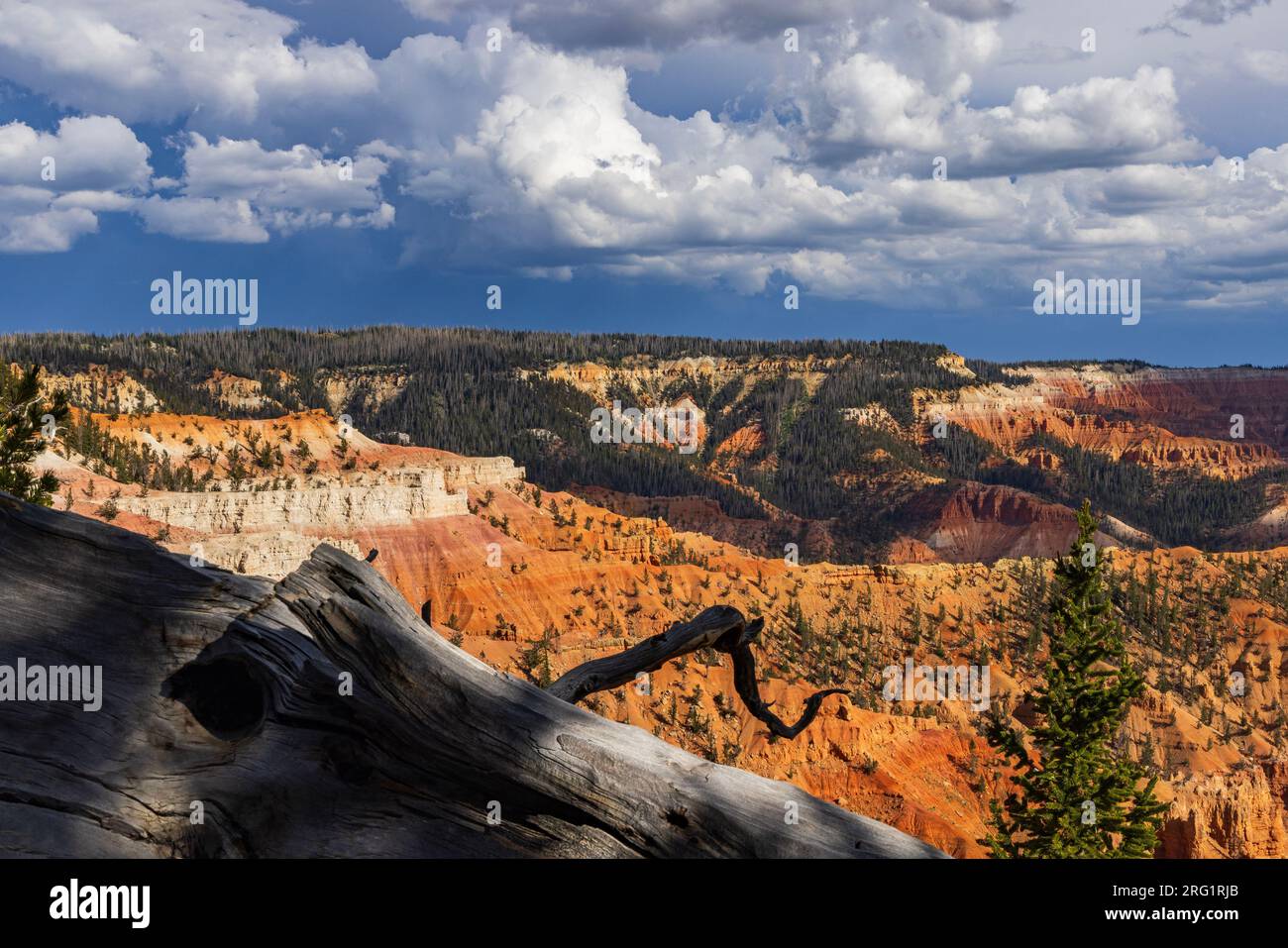 This is a view of the spectacular cliffs of the Amphitheater of Cedar