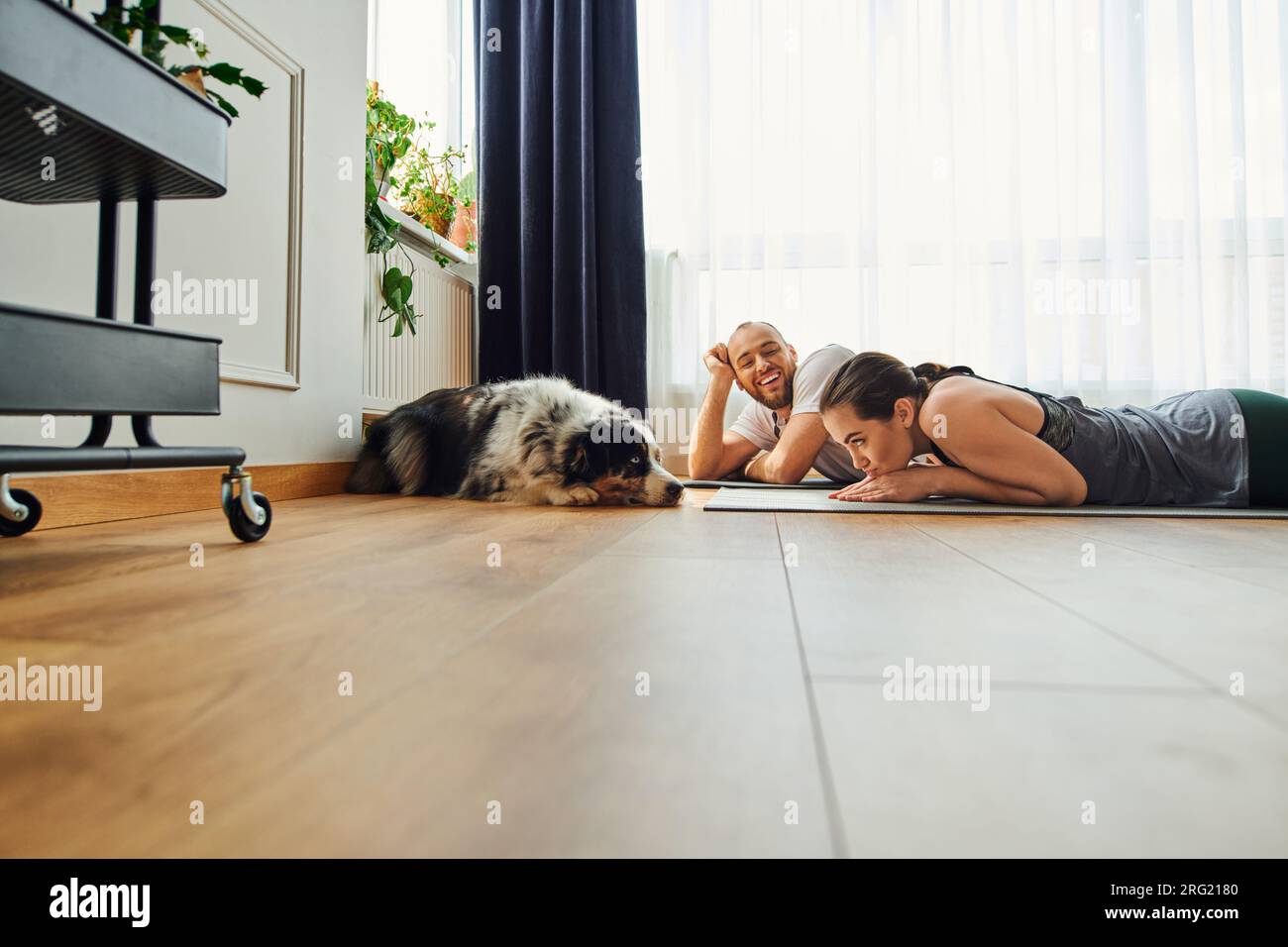 Smiling man in sportswear looking at girlfriend and border collie while lying on fitness mat at home Stock Photo