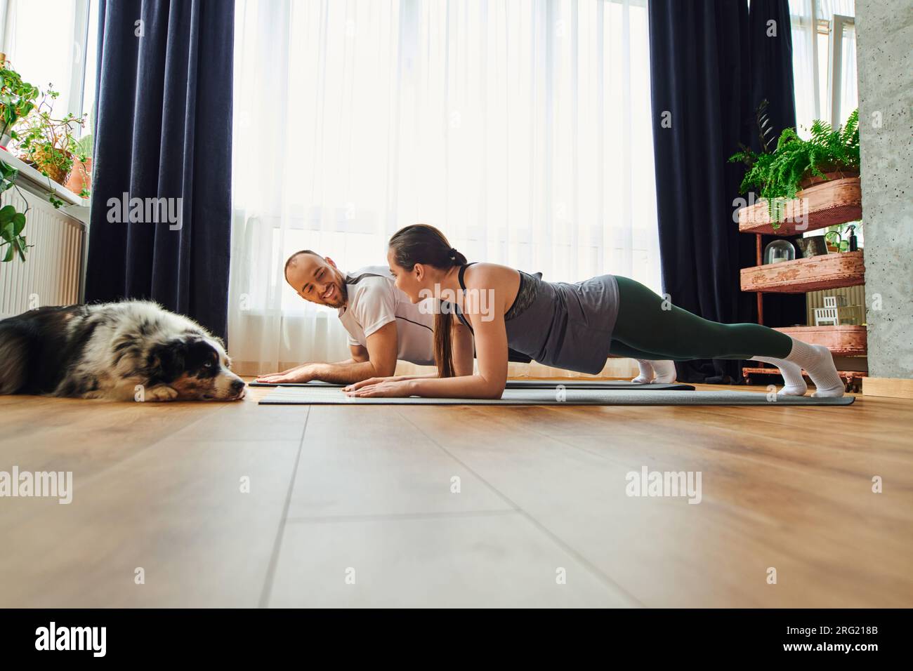 Smiling couple in sportswear standing in pank and looking at each other near border collie at home Stock Photo
