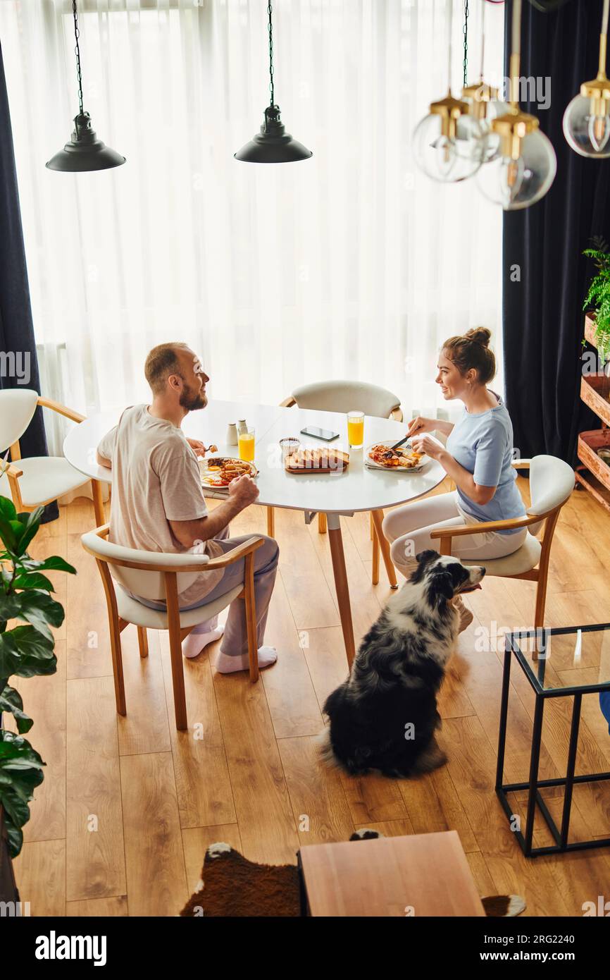 Side view of cheerful couple having homemade breakfast near border collie dog at home in morning Stock Photo