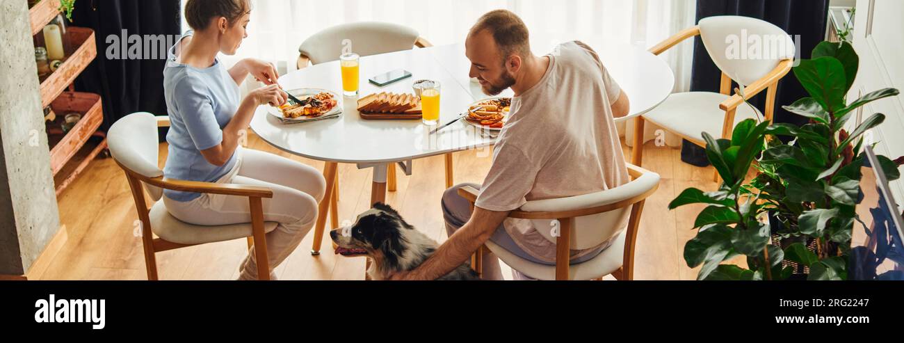 Smiling man in homewear petting border collie while having breakfast with girlfriend at home, banner Stock Photo