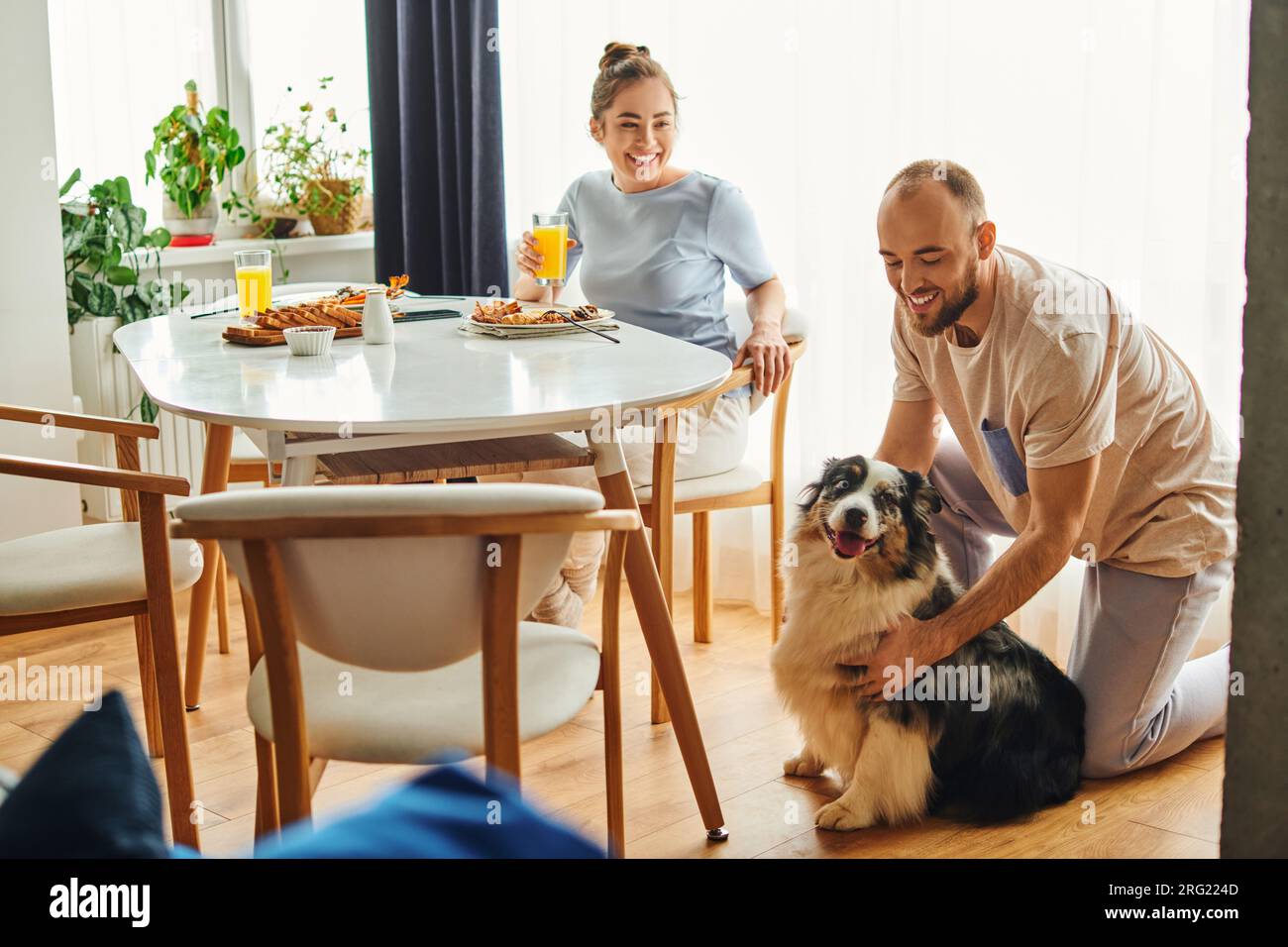 Smiling man in homewear petting border collie near girlfriend and tasty breakfast at home Stock Photo