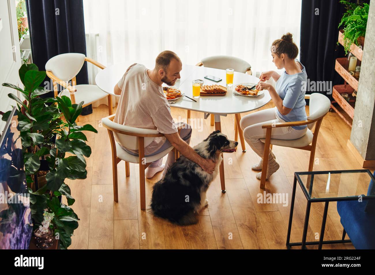 High angle view of smiling man petting border collie while having breakfast with girlfriend at home Stock Photo