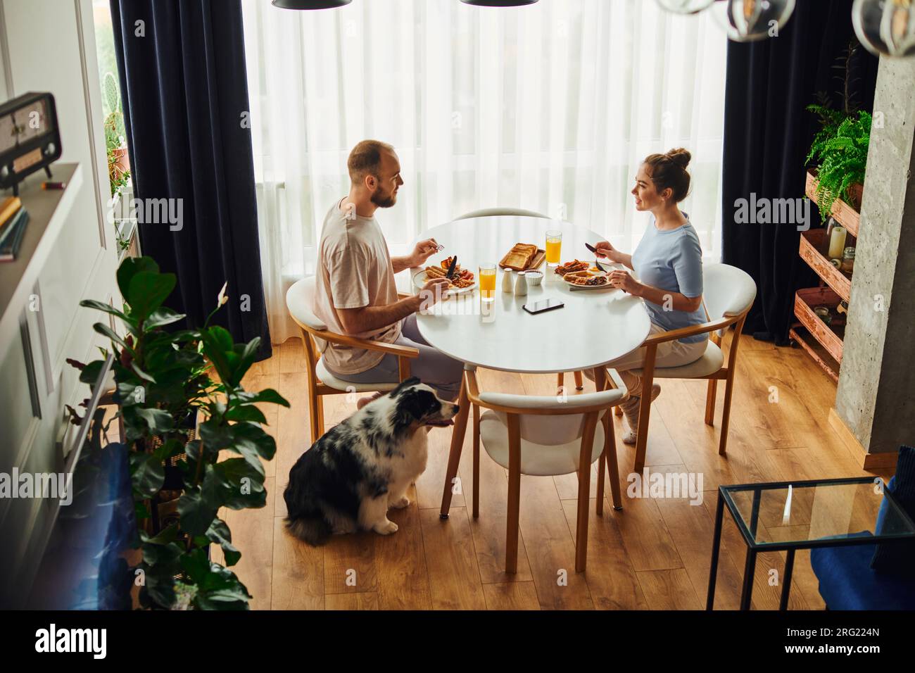 High angle view of smiling couple in homewear having breakfast in morning near border collie at home Stock Photo