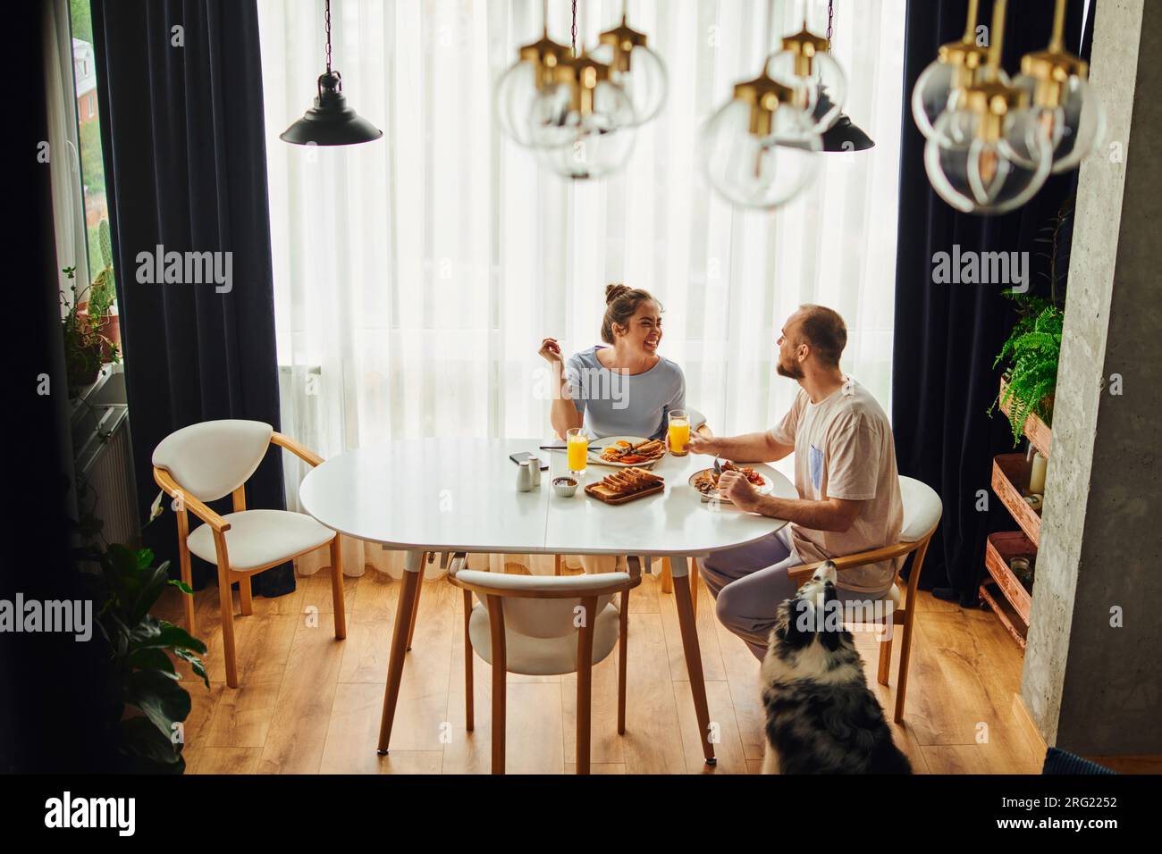 Smiling couple talking while having breakfast with orange juice near border collie dog at home Stock Photo