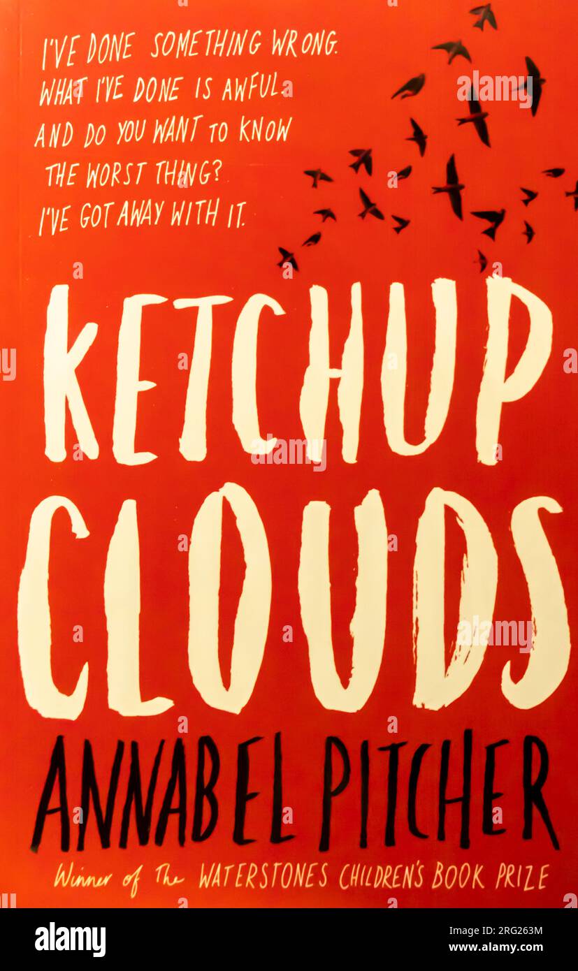 Ketchup Clouds Novel by Annabel Pitcher 2012 Stock Photo