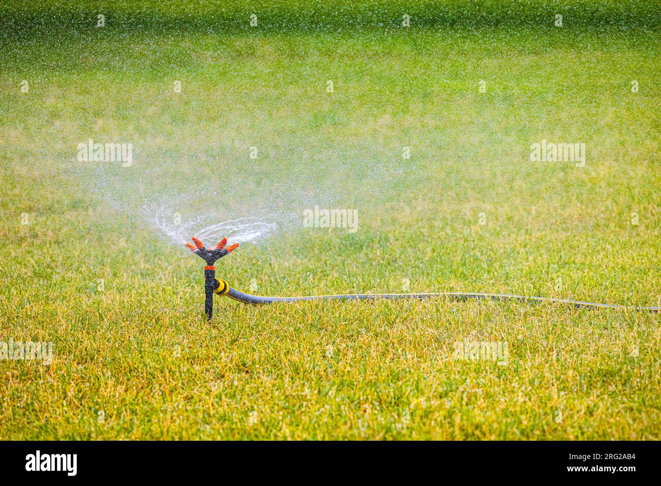 automatic lawn watering system watering the grass. The most popular
