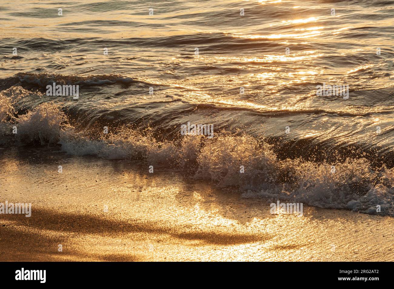 Golden sunlight reflecting on surging waves on a beach at sunset. Drake Bay, Osa Peninsula, Costa Rica. Stock Photo