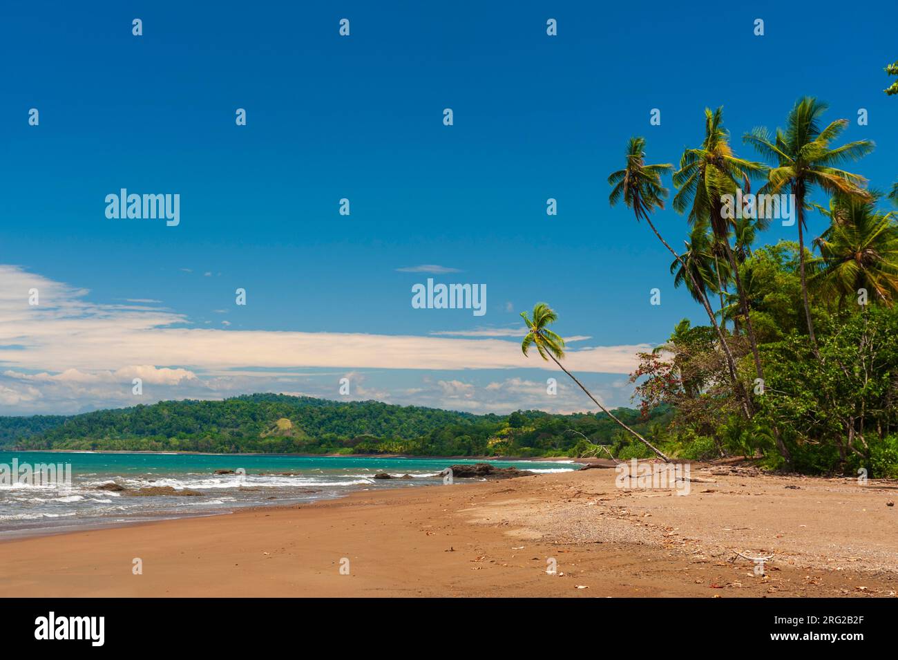 Palm trees and gentle surf on a sandy beach. Drake Bay, Osa Peninsula, Costa Rica. Stock Photo