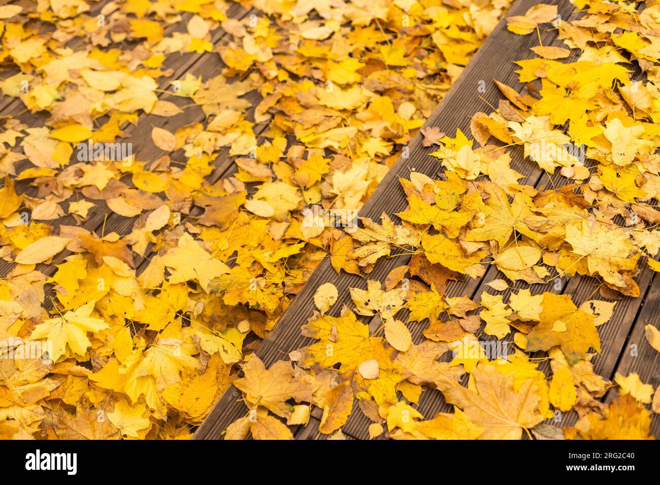 Golden steps heaven hi-res stock photography and images - Alamy