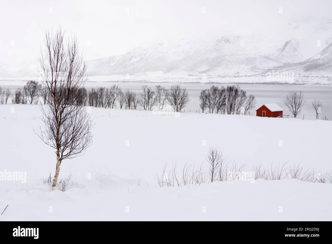 Vesterålen islands winter hi-res stock photography and images - Alamy