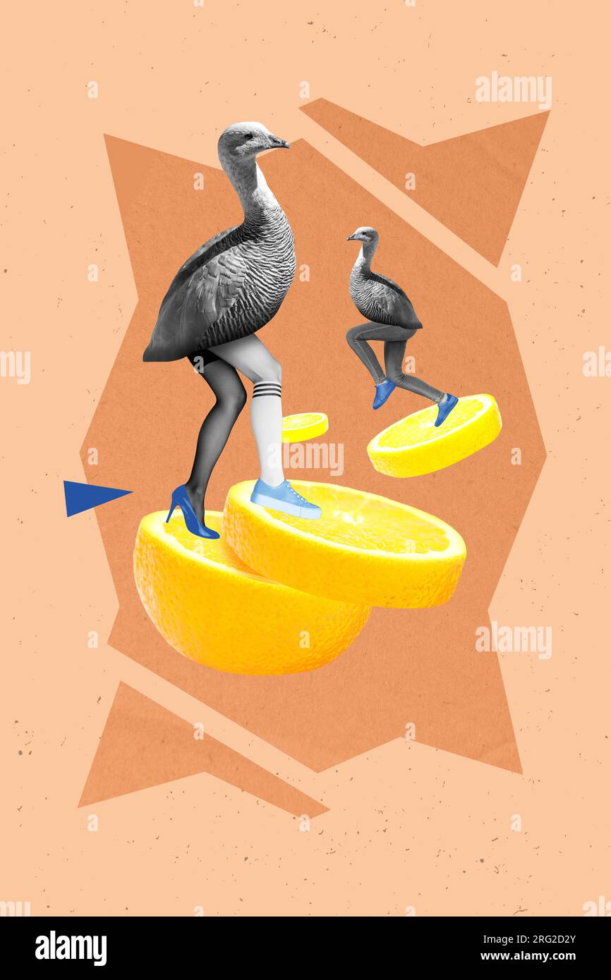 Composite collage picture image of animal goose birds female legs shoes high heels lemon fruit slices citrus healthy nutrition fresh Stock Photo Alamy