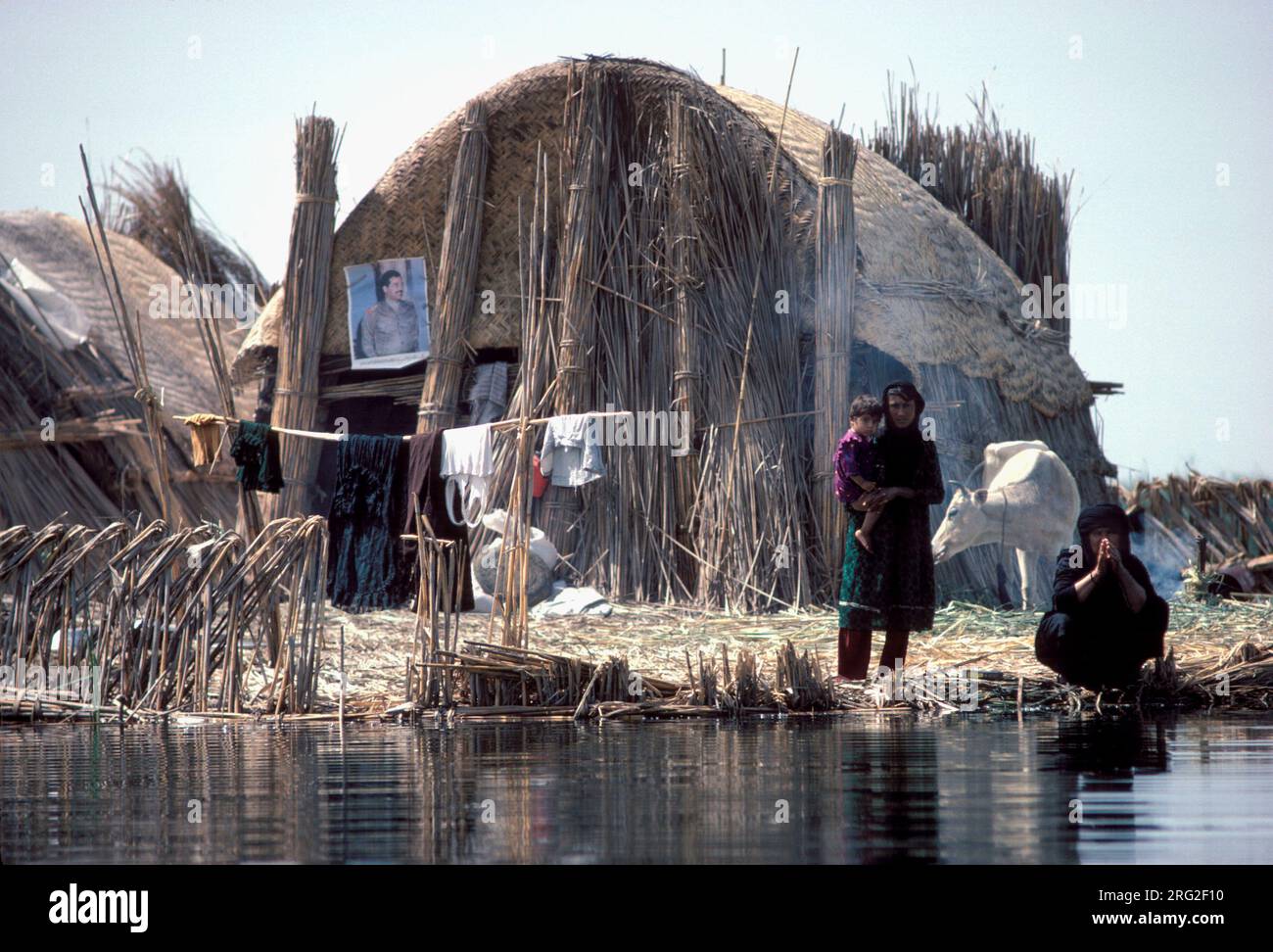 Marsh Arabs Iraq. Marsh Arab mother and child on a traditional reed island called a dibin or kibasha. A poster of Saddam Hussain is pinned to the reed of wall of this home. Rivers Tigris and Euphrates wetlands, Hammar marshes. Southern Iraq 1980s HOMER SYKES Stock Photo
