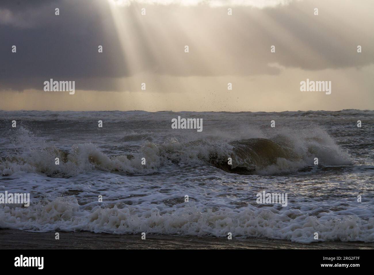 Sunset over storm north sea with big waves and breaking surf Stock Photo
