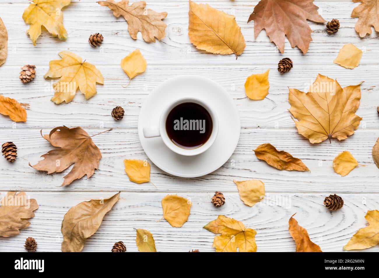 Flat lay composition with colorful Autumn cup of coffee and leaves on a ...