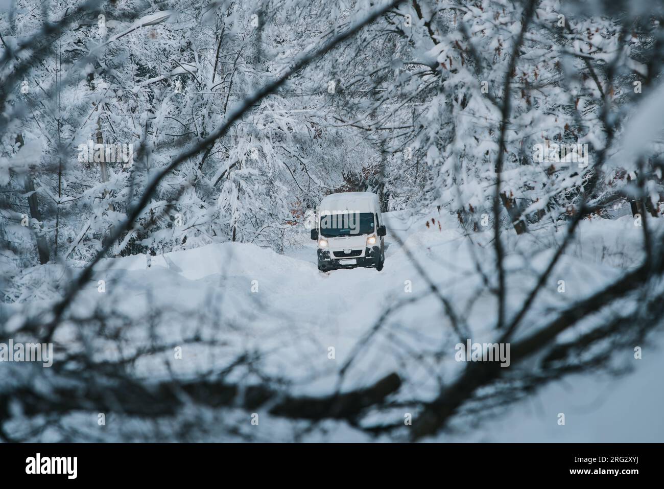 Truck stuck on the road in front of a fallen tree Stock Photo