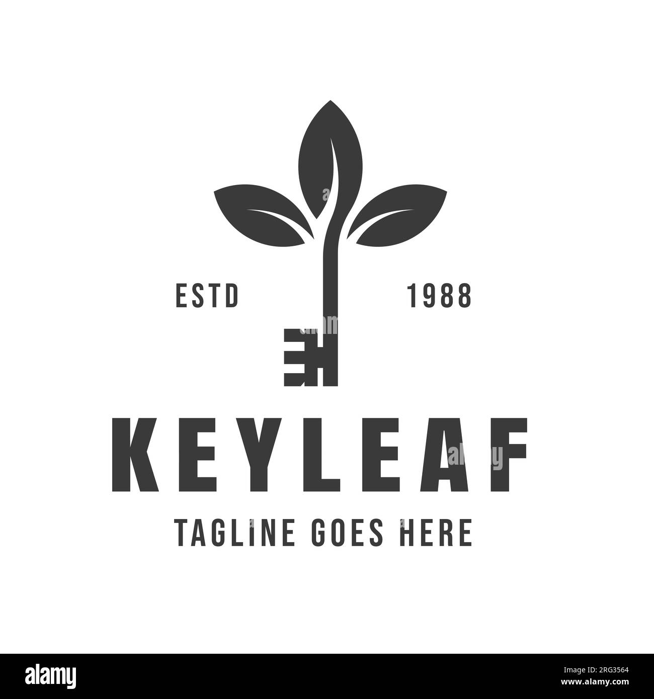 Key inspiration with leaf Vintage retro Logo design vector Stock Vector