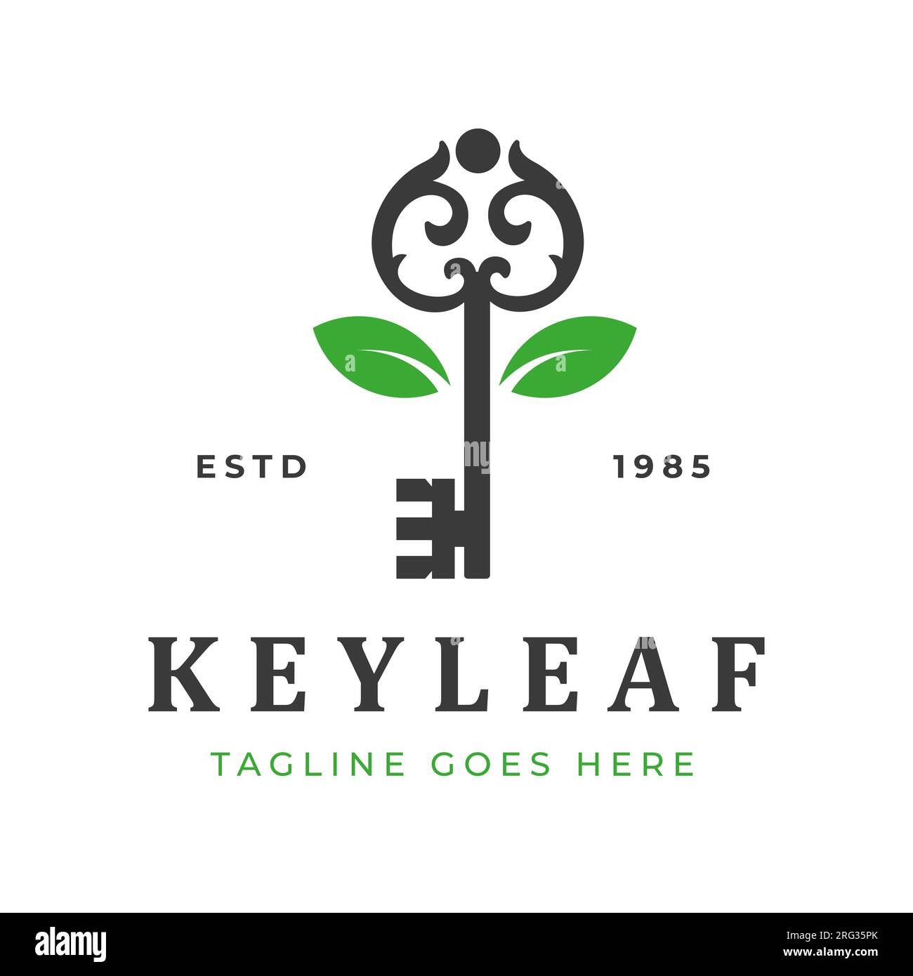 Royal Antique Key Old Inspiration with green leaf Retro Vintage Logo design Stock Vector
