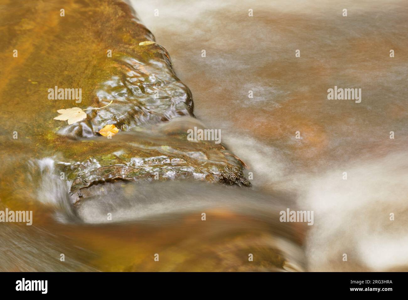 Water flowing around and over rocks in a woodland river; the River