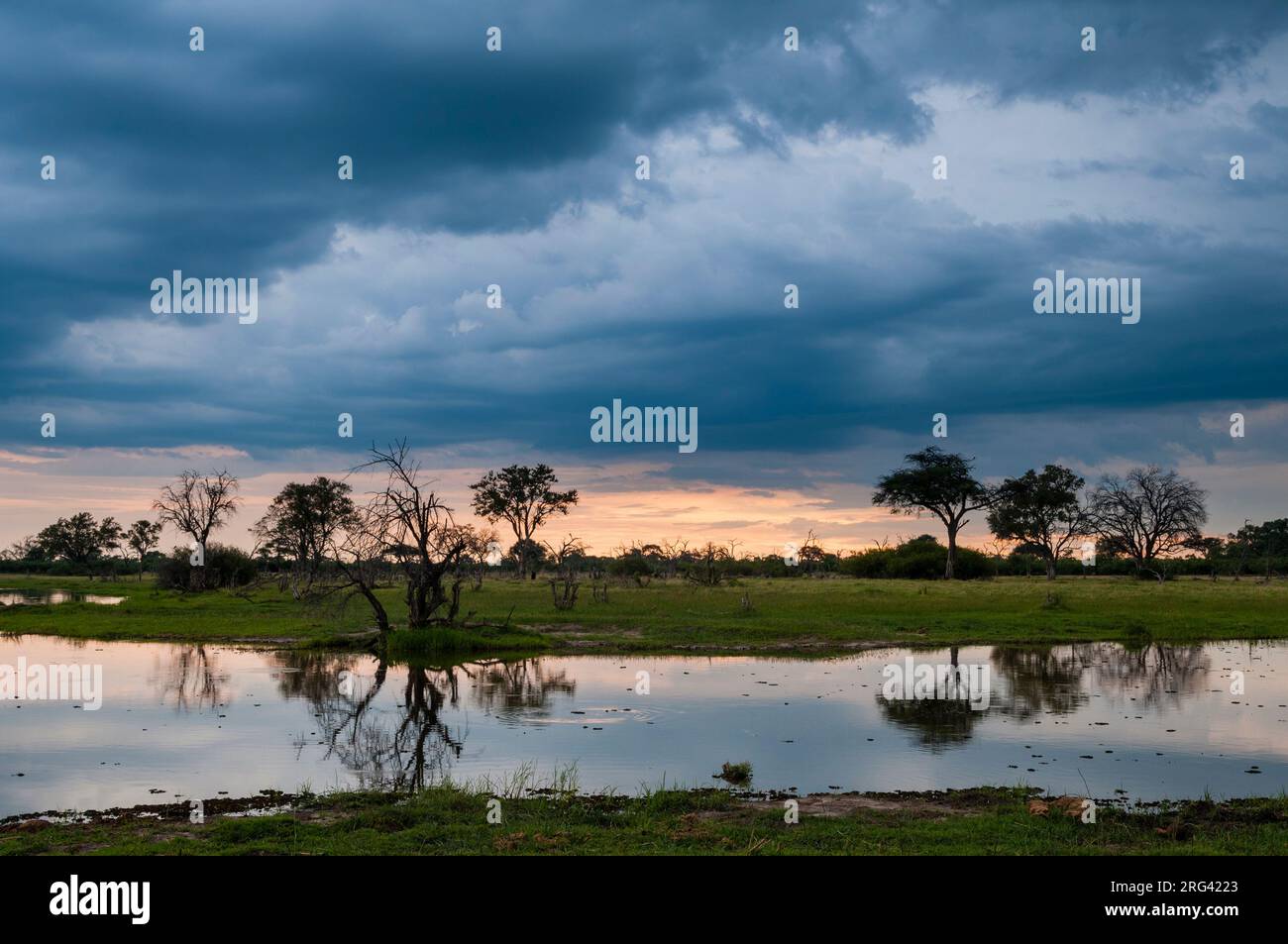 A thunderstorm approaching the Okavango delta. Khwai Concession Area ...