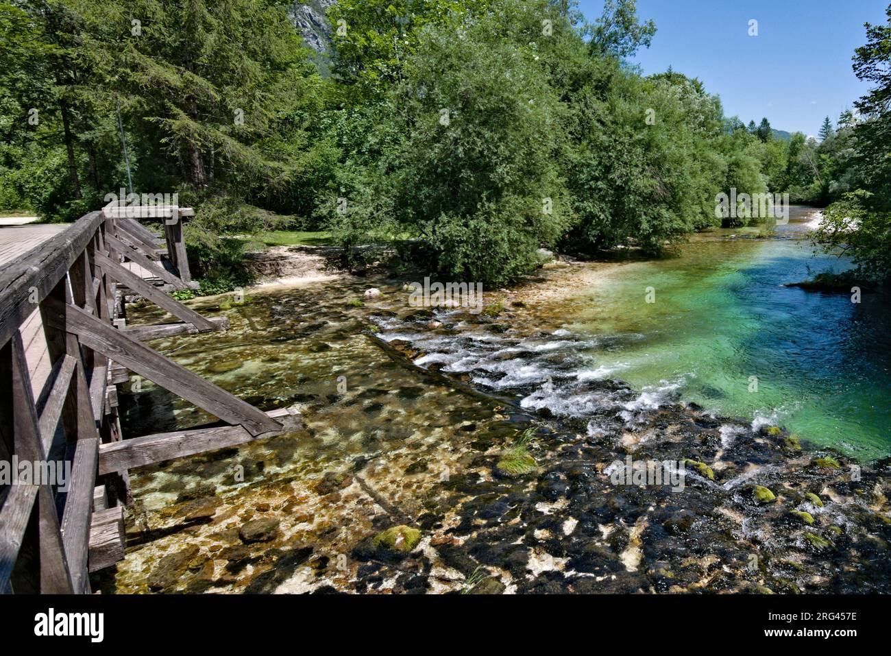 Sava Bohinjka river from the bridge in Ukanc. Tributary of Lake Bohinj in Triglav national park in Slovenia. Absolutely pure mountain water. Stock Photo