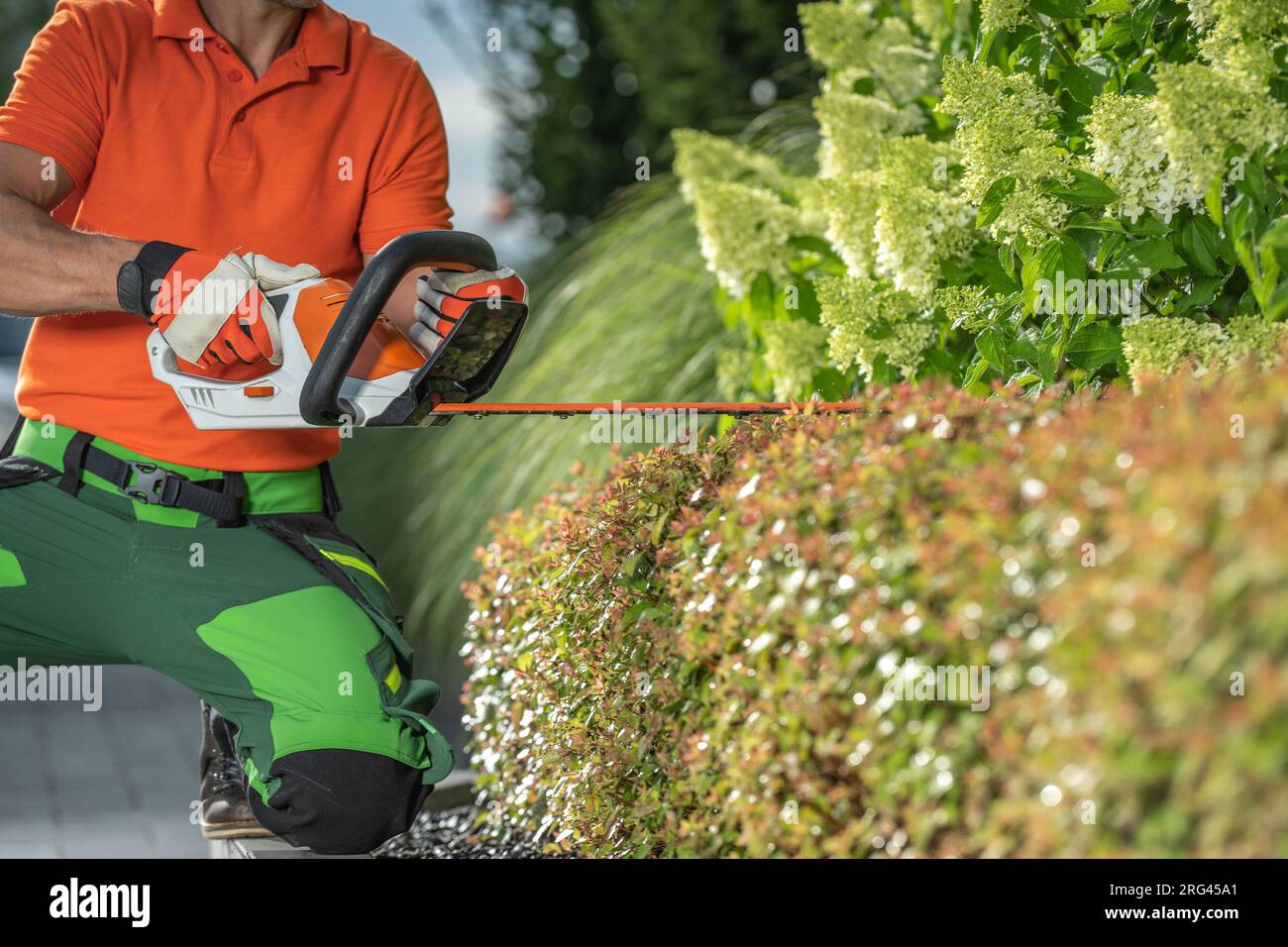 Electric strimmer hi-res stock photography and images - Alamy