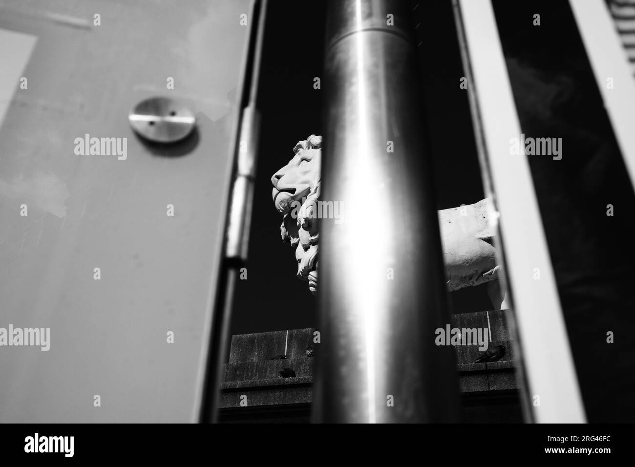 South Bank Lion Stock Photo Alamy