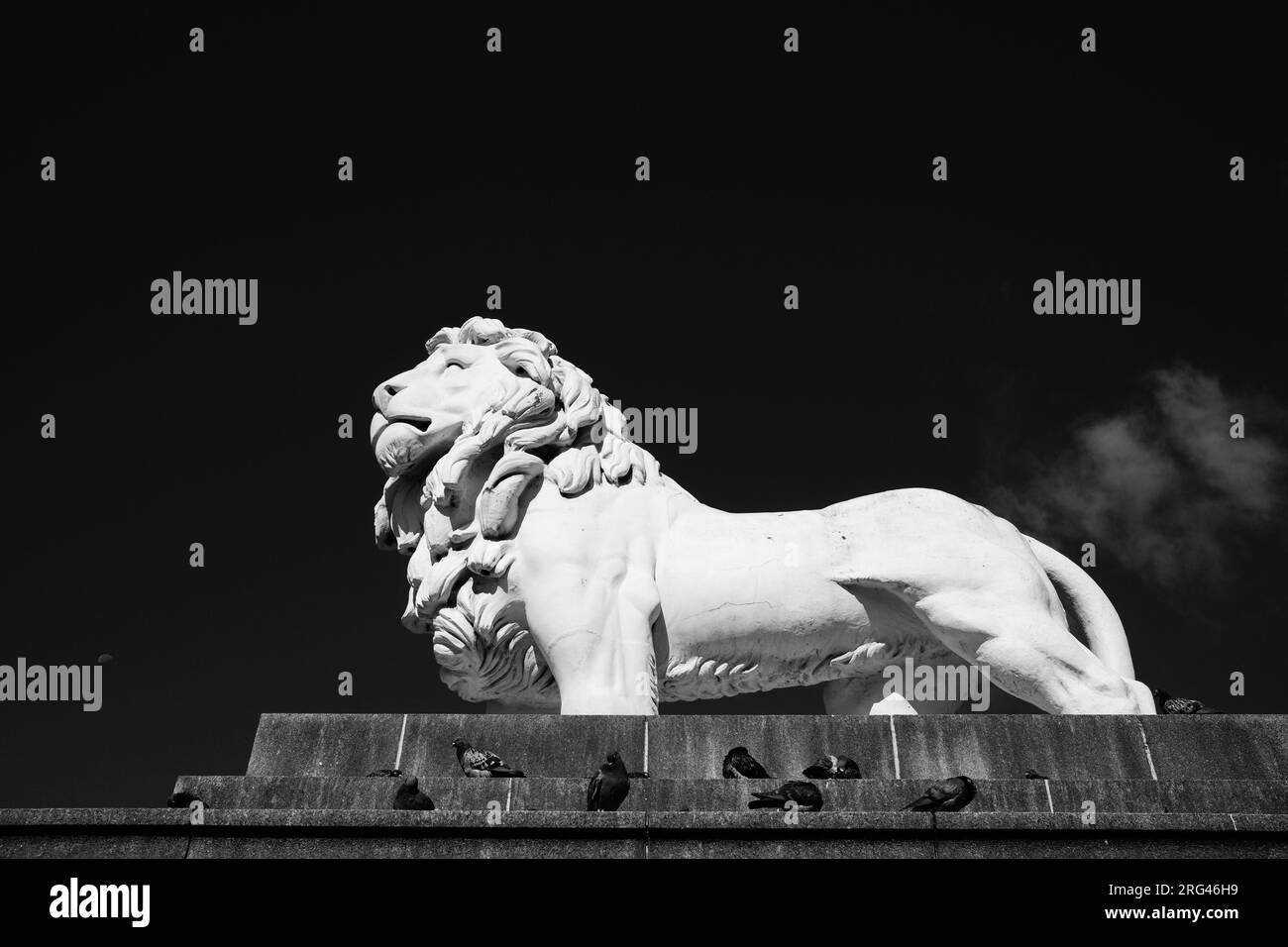 South Bank Lion Stock Photo Alamy