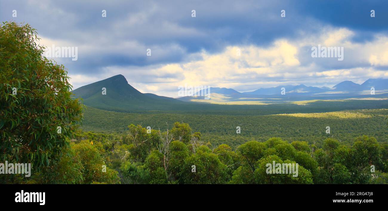 Panorama of the forested plain and mountains on the eastern side of Stirling Range National Park, Western Australia. Cloudy sky, patches of sunlight. Stock Photo