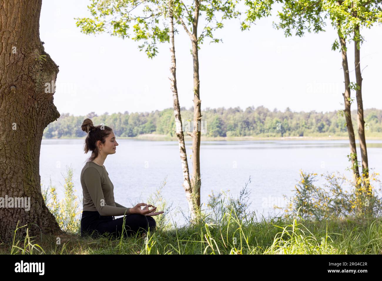 Rejuvenating sanctuary hi-res stock photography and images - Alamy