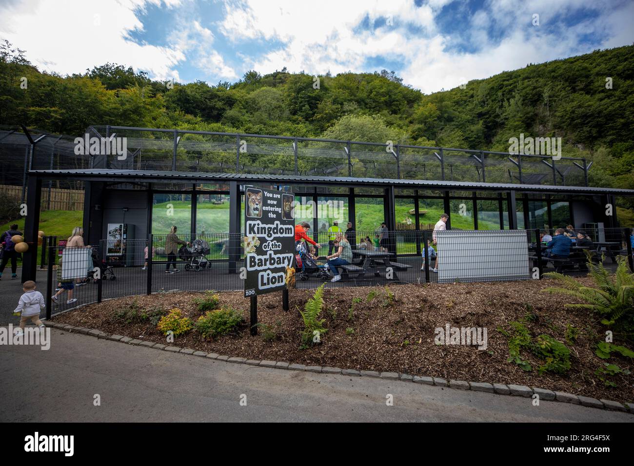 A general view of Belfast Zoo Kingdom of the Barbary Lion, the new
