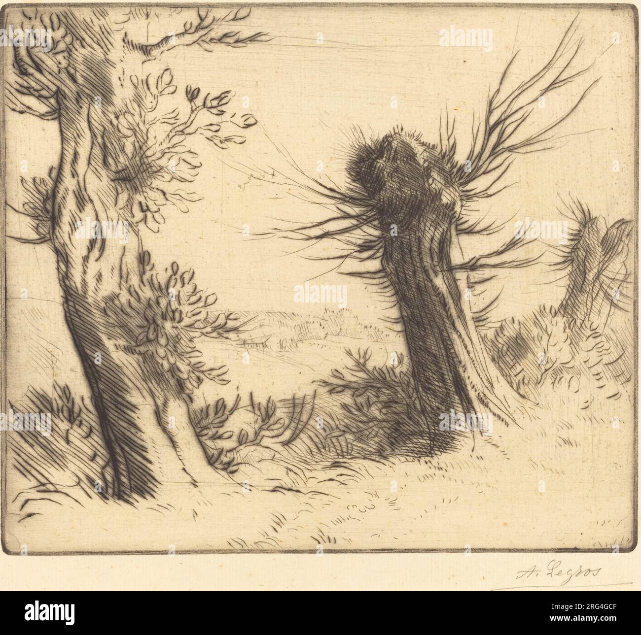 Willows (Les saules) by Alphonse Legros Stock Photo