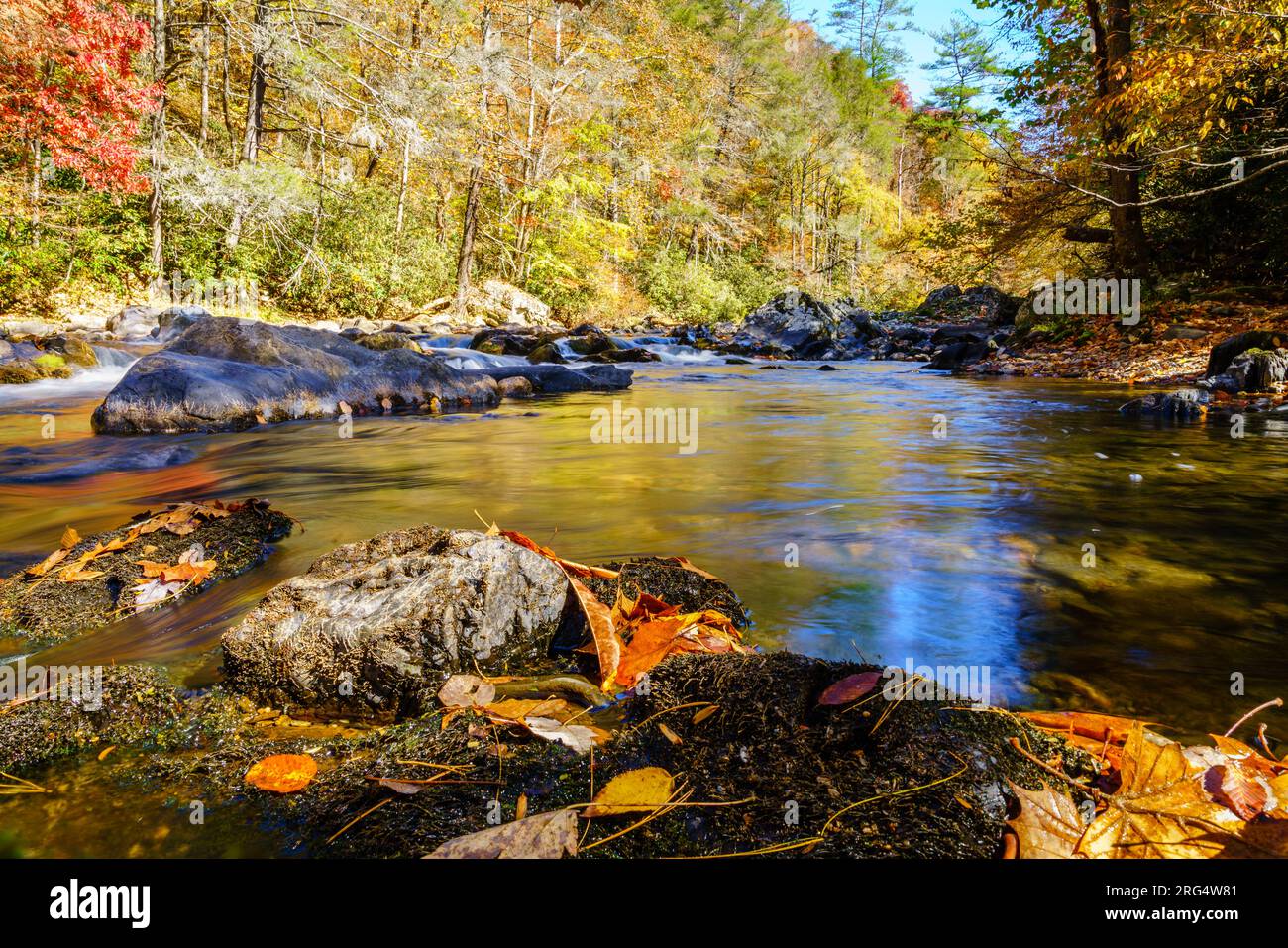 Scenic view of Big Laurel Creek in North Carolina in falltranq Stock Photo