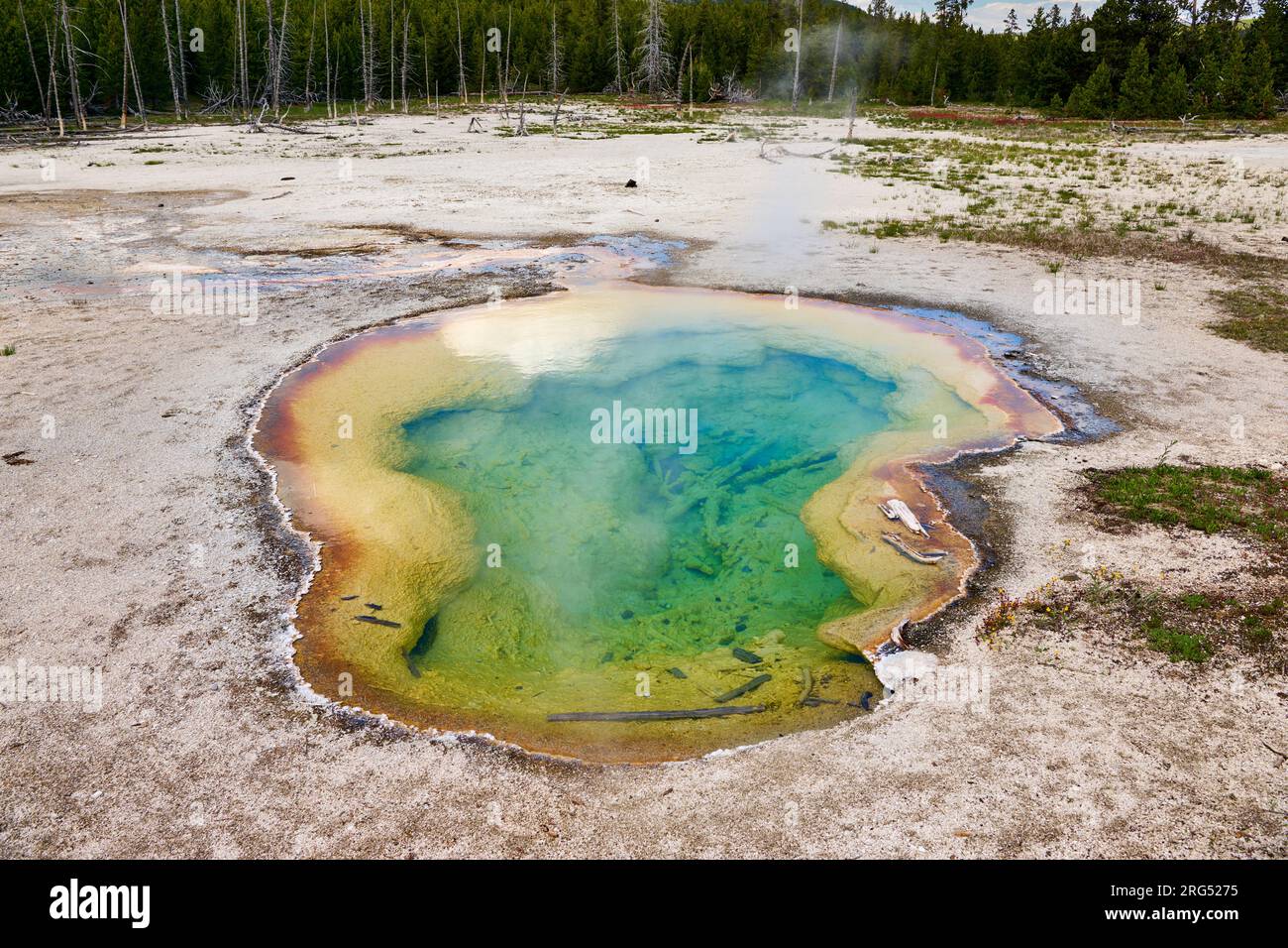 West Geyser, Biscuit Basin, Yellowstone National Park, Wyoming, United States of America Stock Photo