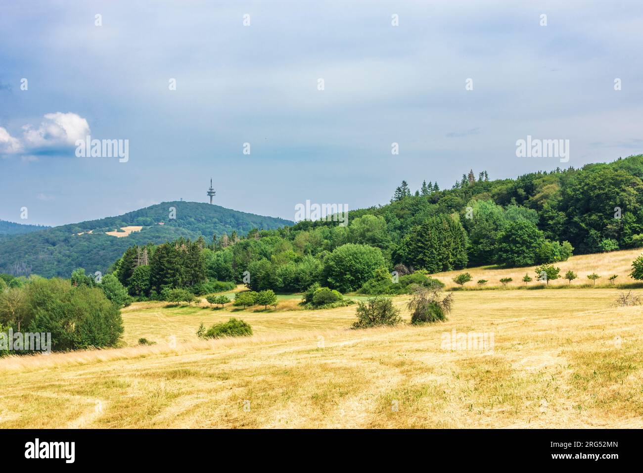 Kelkheim (Taunus): Taunus mountain range, mountain Atzelberg with Typenturm radio tower in Taunus, Hessen, Hesse, Germany Stock Photo
