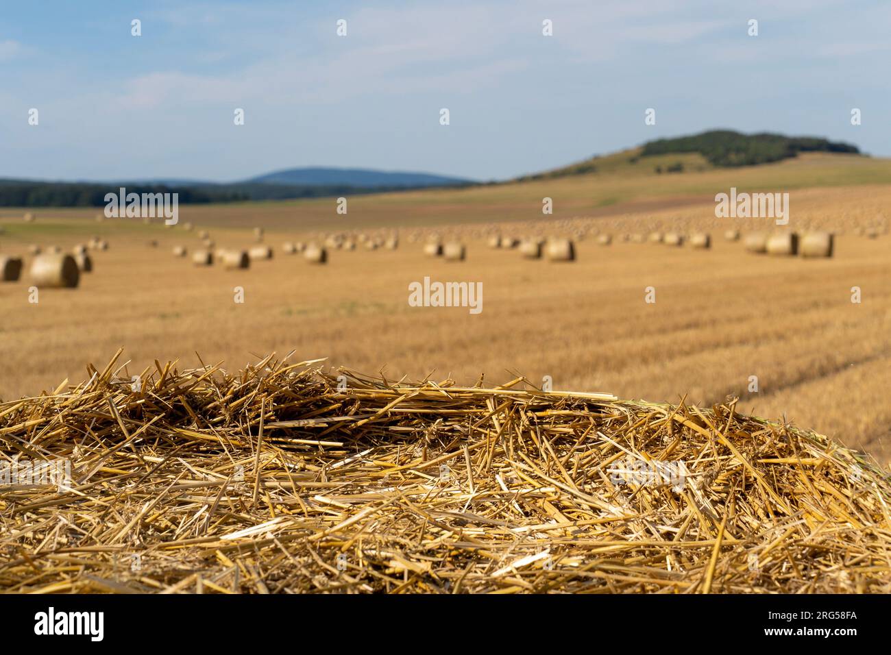 Straw bales in the summer sun on a hillside in Hungary Stock Photo