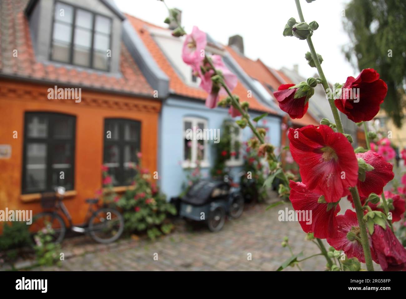 Traditional houses in Mollestien, Aarhus, Denmark Stock Photo Alamy