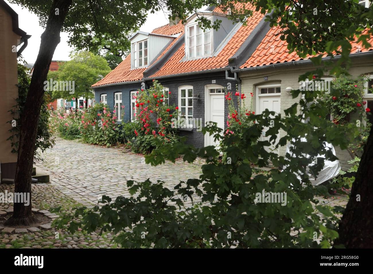 Traditional houses in Mollestien, Aarhus, Denmark Stock Photo Alamy
