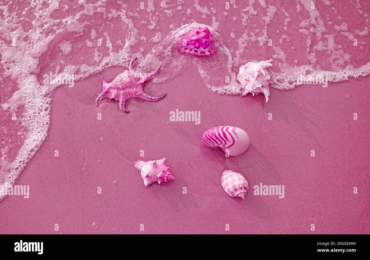 Surreal pop art of French rose pink colored seashells on the sandy beach Stock Photo