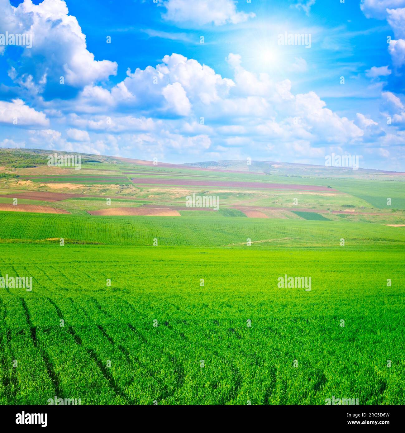 Wheat field tree sunset hi-res stock photography and images - Alamy