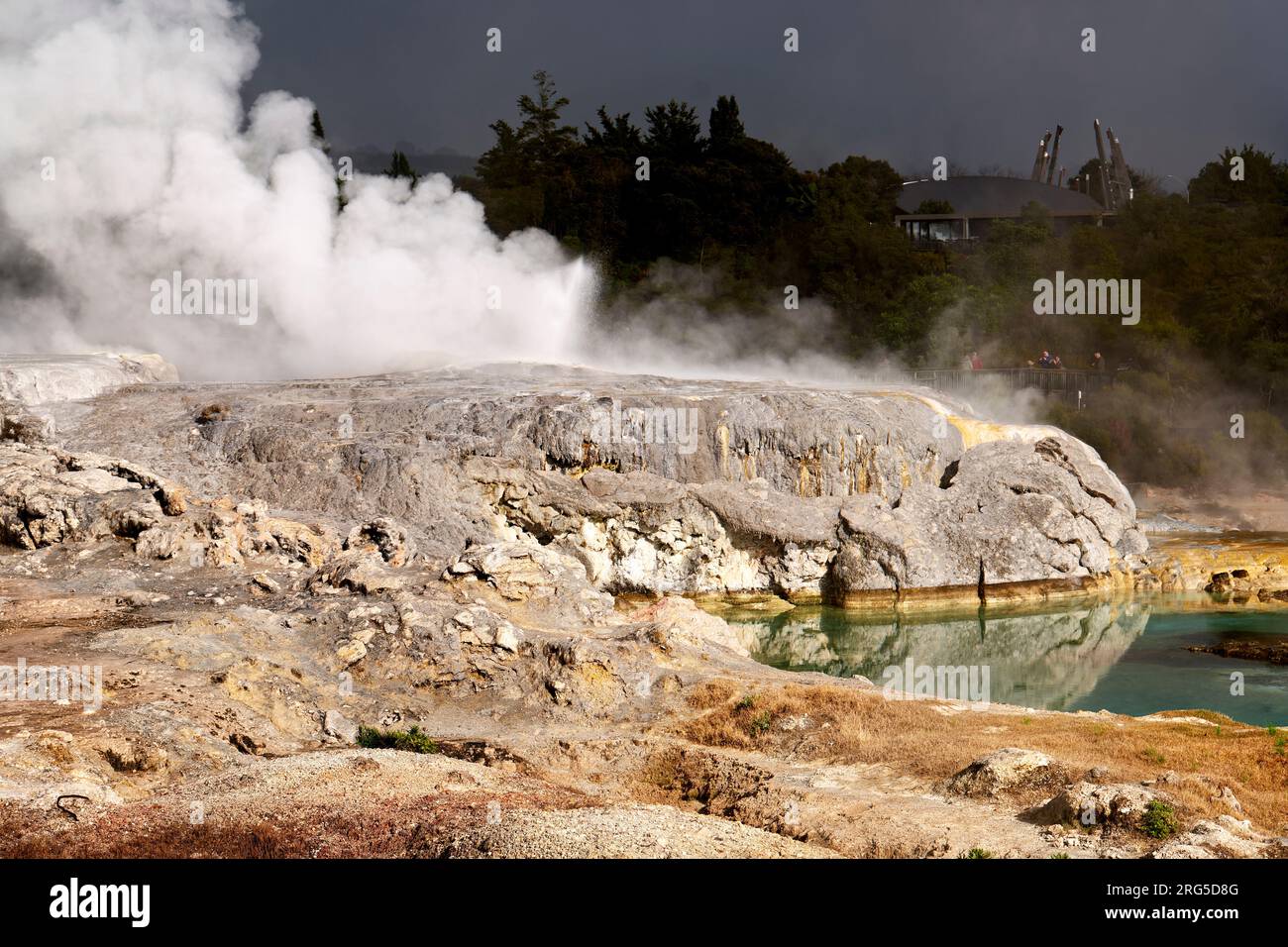 Rotorua. New Zealand. Whakarewarewa the living Maori Village. Hot
