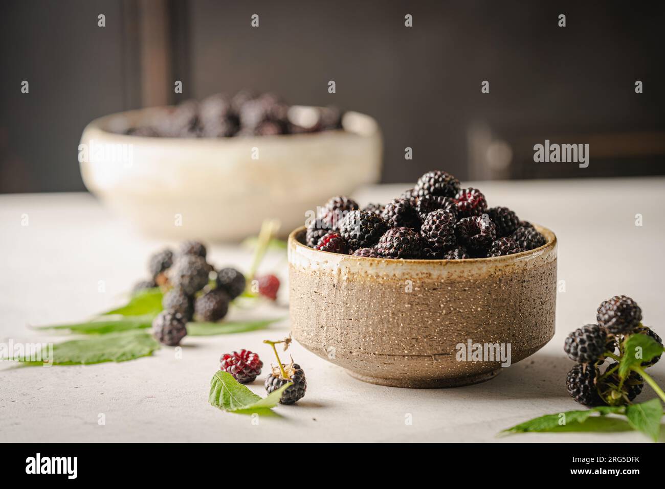 Cumberland black raspberry berry hi-res stock photography and images ...