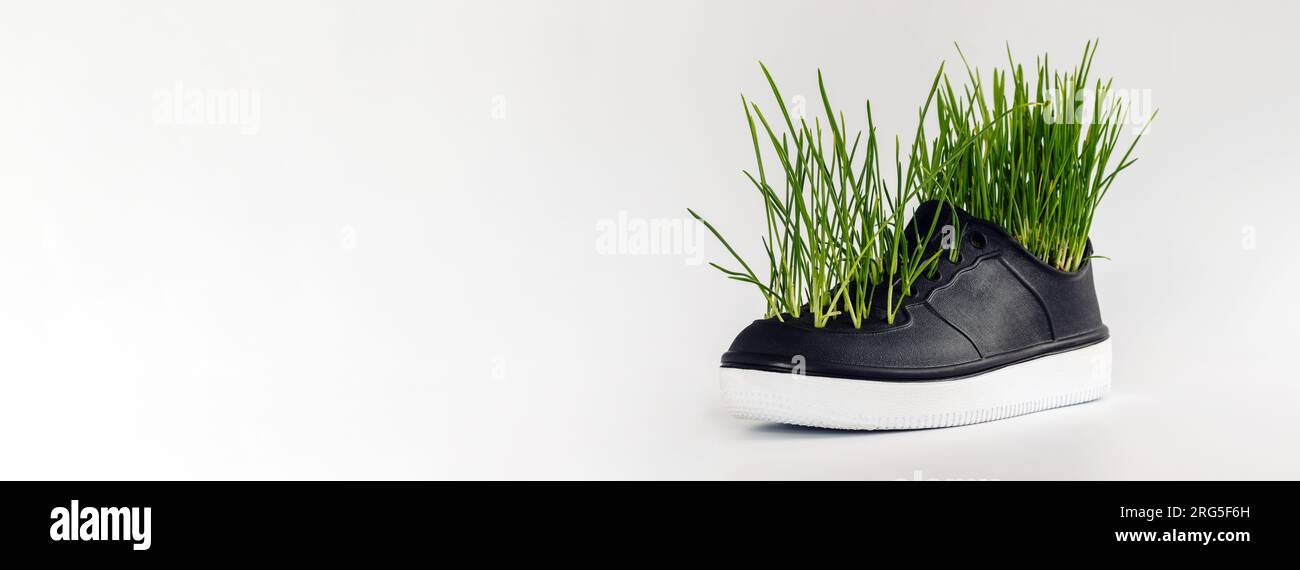 Environmental conservation backdrop, green grass growing  from plastic shoes. Stock Photo
