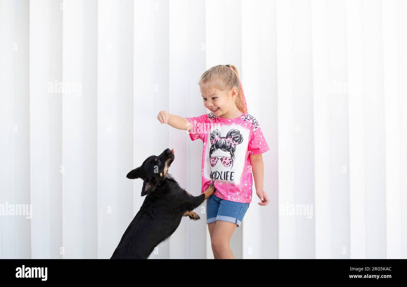 Cute Caucasian child is playing with a puppy. Dog training concept. Dog doing tricks. Dog standing on rare legs Stock Photo